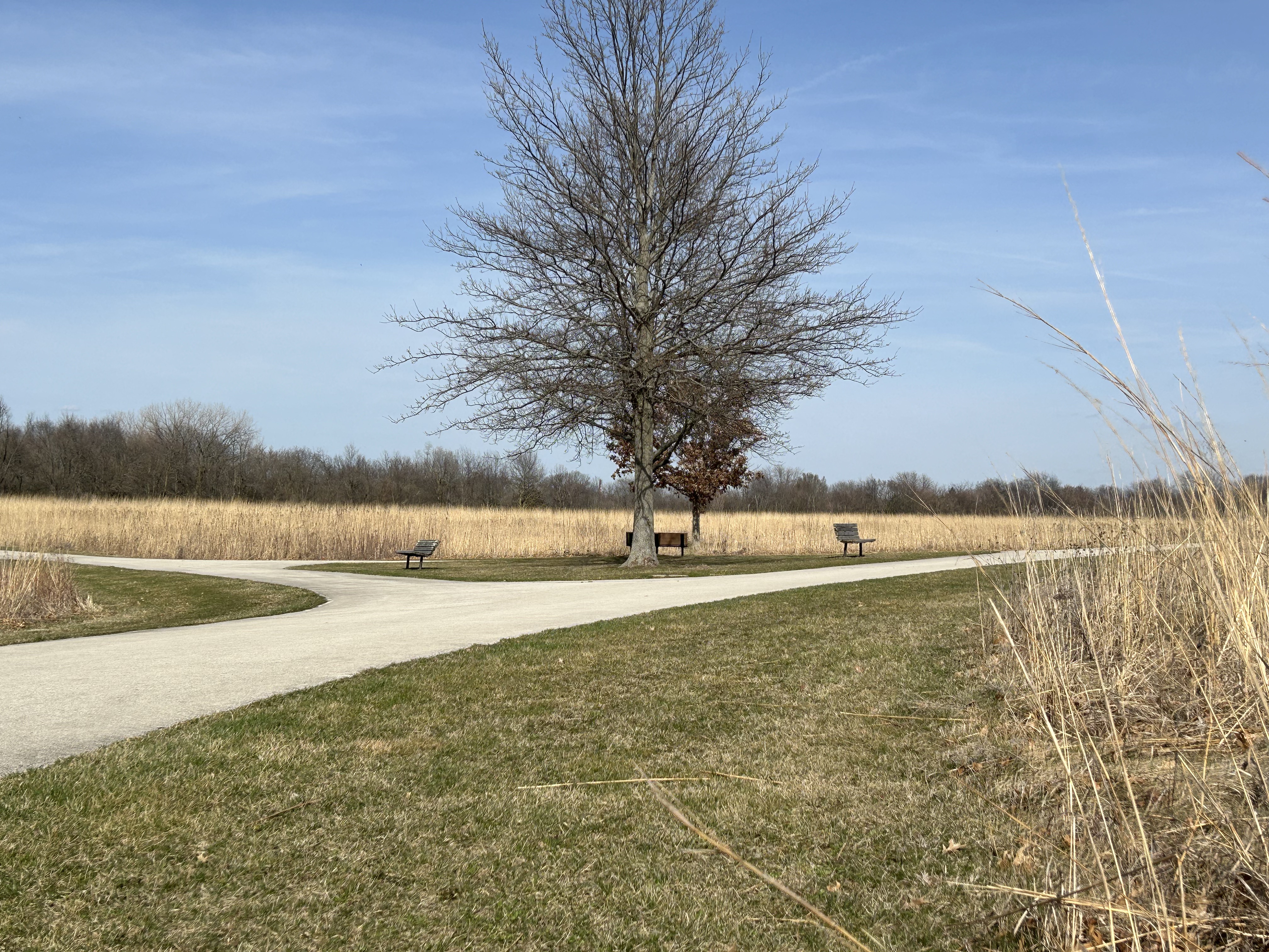 Open field at Perry Farm Park, near the Briarcliff neighborhood.